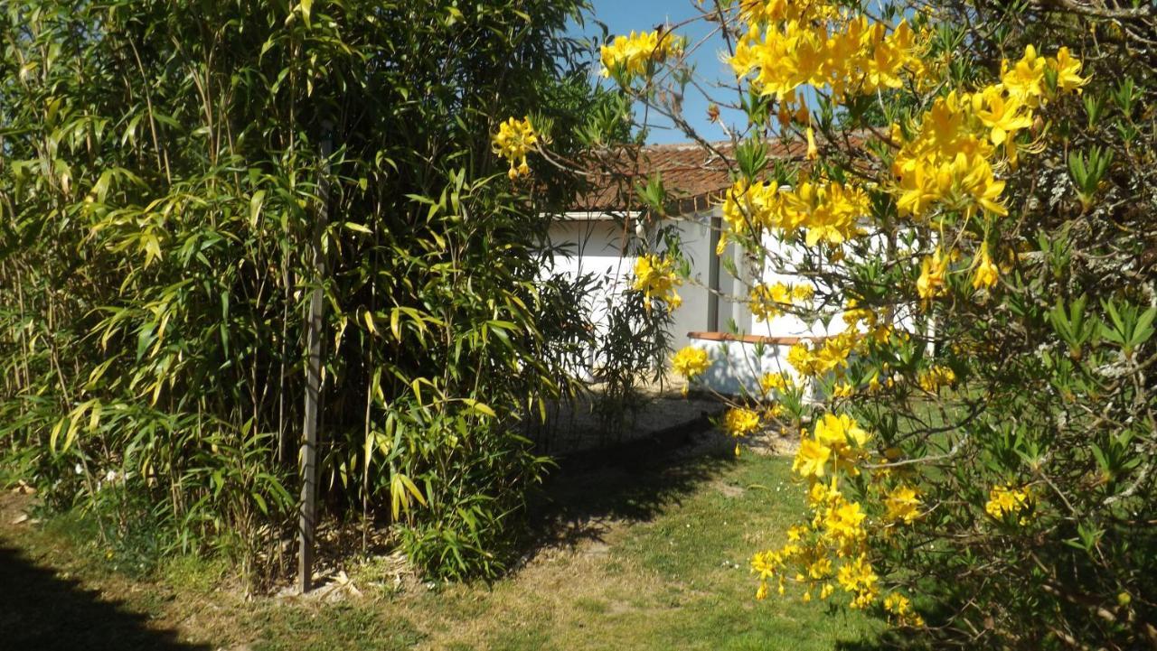 Breesfalt Gite Accomodation Villa Maisonnais-Sur-Tardoire Exteriör bild